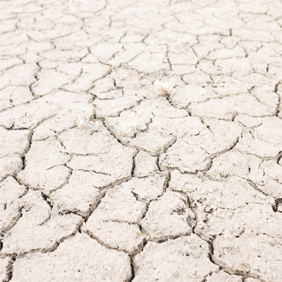 10 Changes For Climate Change