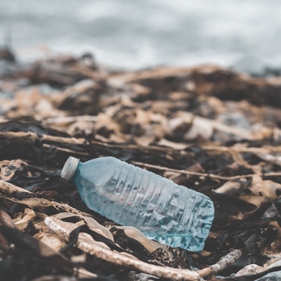 The Seven Most Common Recycling Mistakes People Make & How To Avoid Them