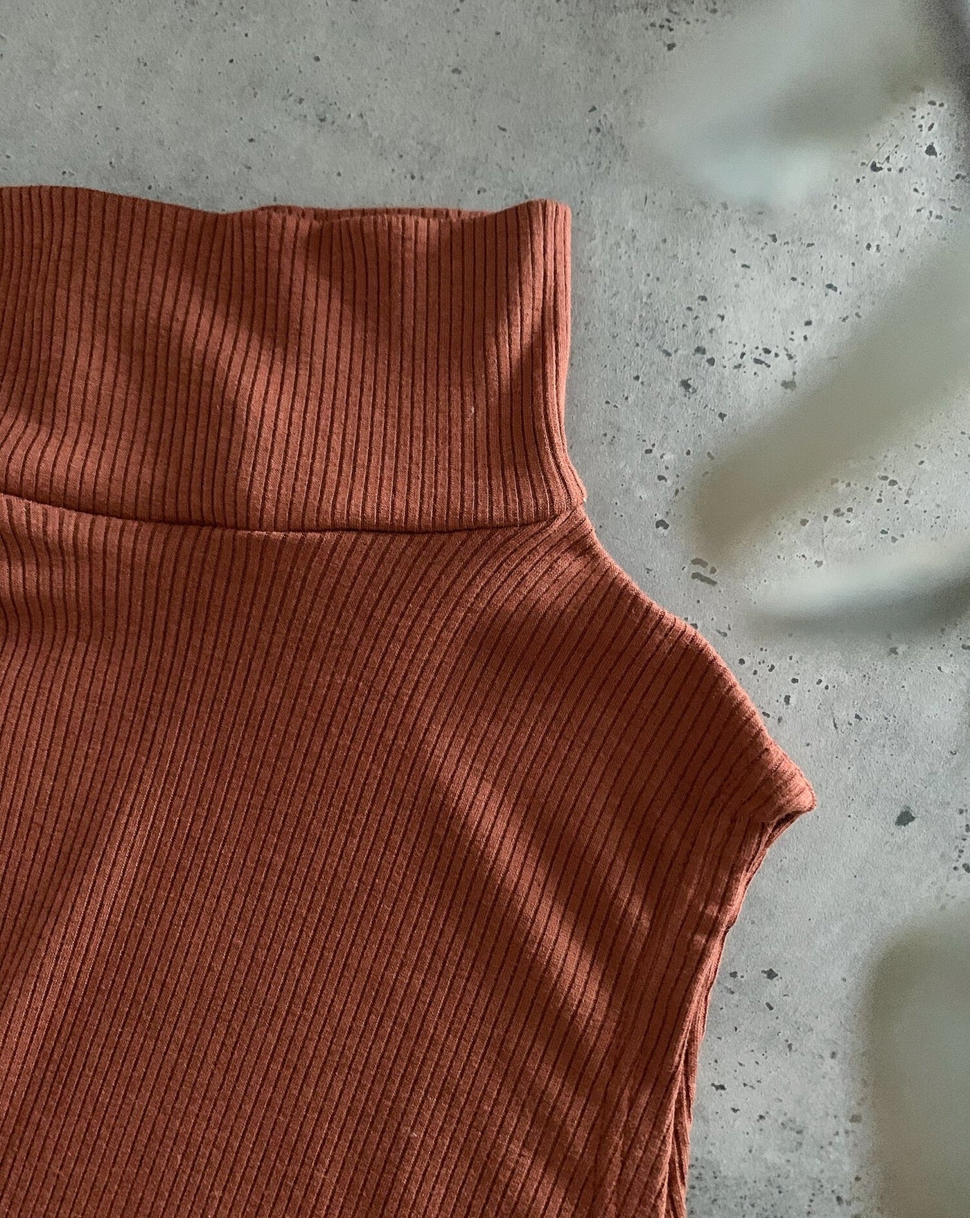 Sustainable Tencel modal ribbed sleeveless pecan-coloured turtleneck worn with black trousers.